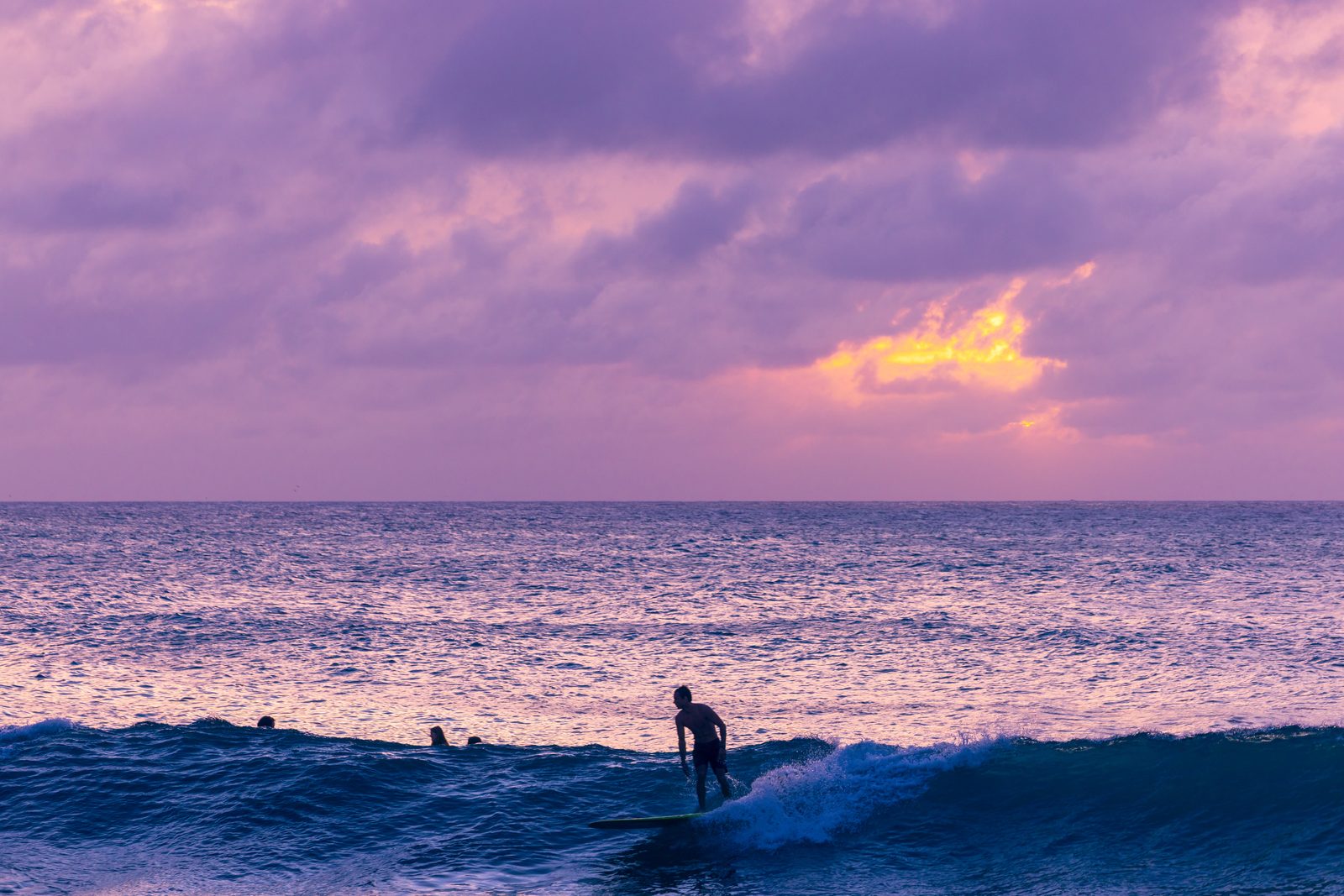 Surfers silhouetted at sunset